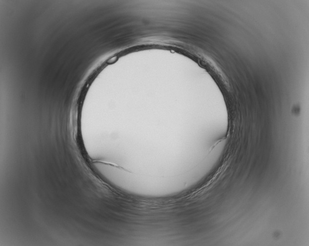 X0000116651323201001111221