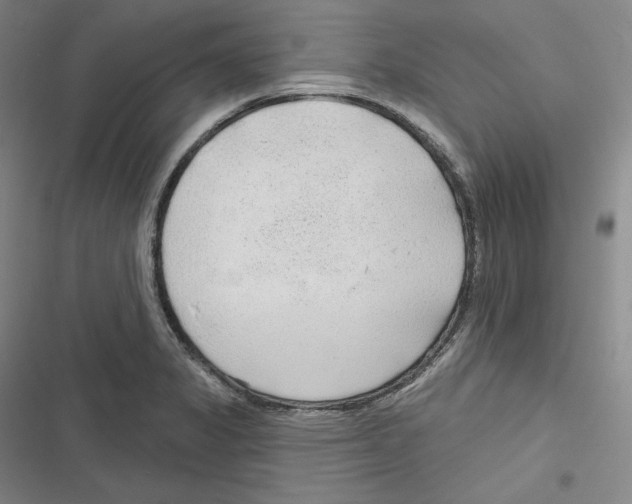 X0000116651325201001111221