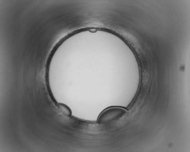 X0000116651326201001111221