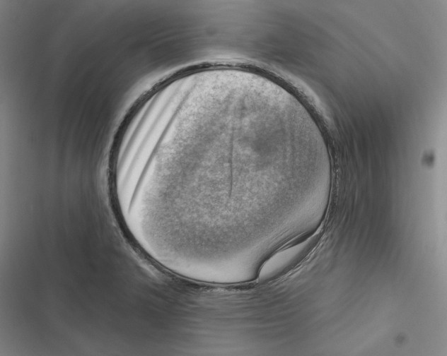 X0000116651327201001111221