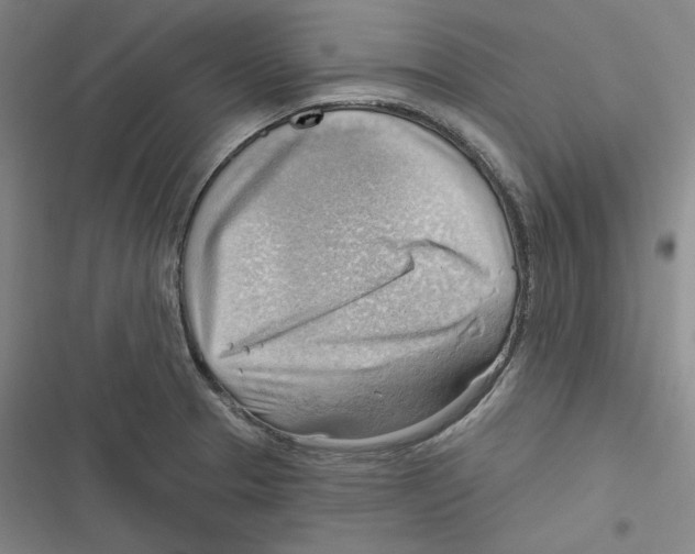 X0000116651329201001111221