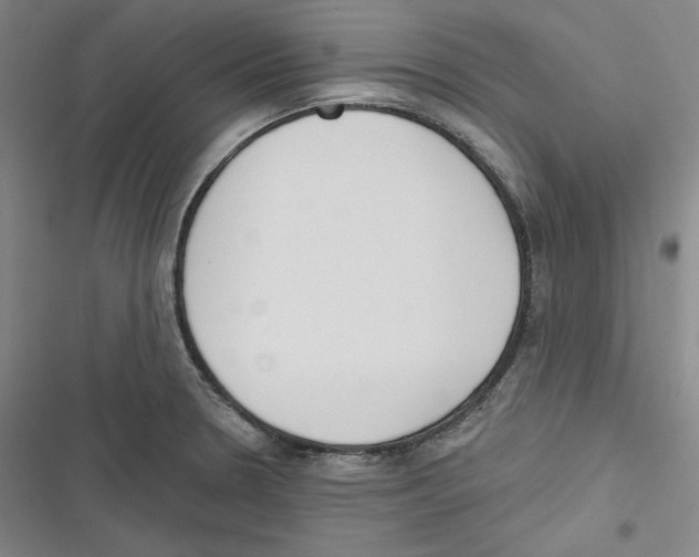 X0000116651330201001111221