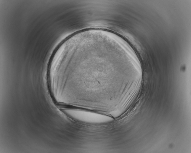 X0000116651331201001111221