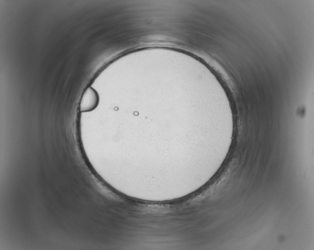 X0000116651333201001111221