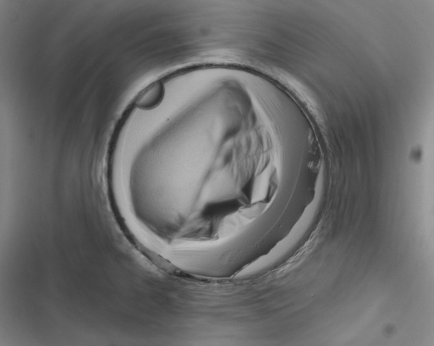 X0000116651334201001111221