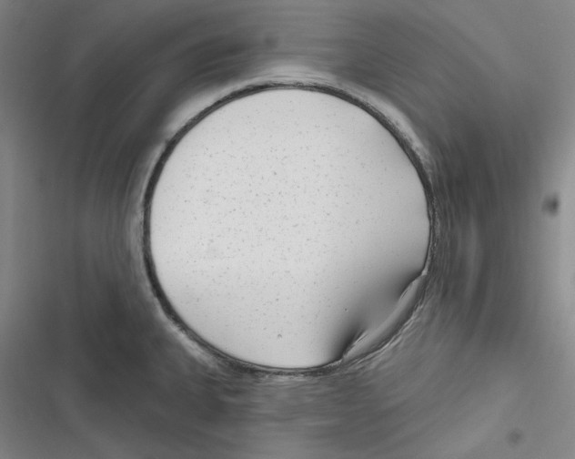 X0000116651335201001111221