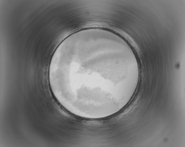 X0000116651337201001111221