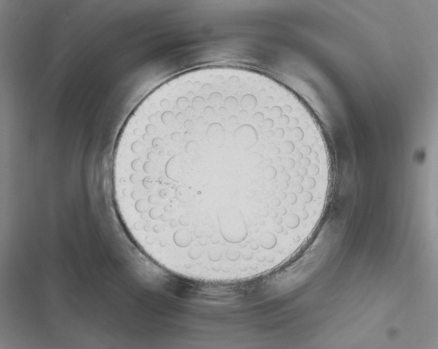 X0000116651338201001111221