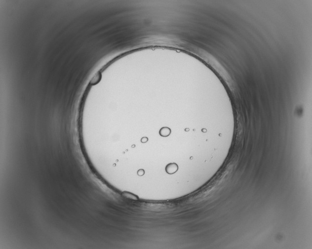 X0000116651339201001111221