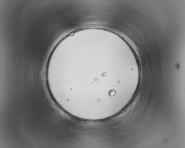 X0000116651341201001111221