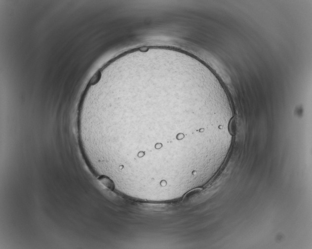 X0000116651342201001111221