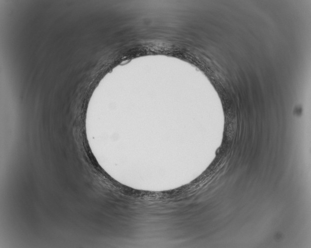 X0000116651345201001111220