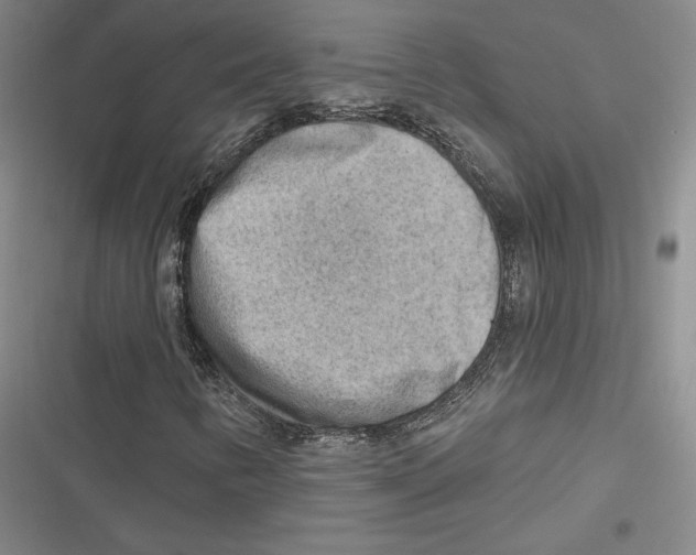 X0000116651346201001111220