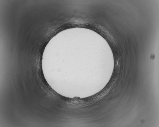 X0000116651348201001111220