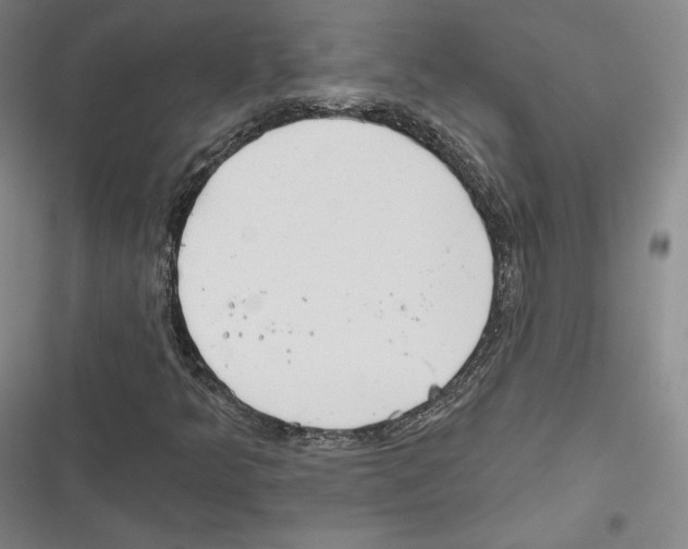 X0000116651349201001111220