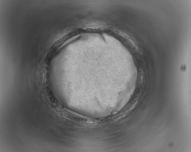 X0000116651350201001111220