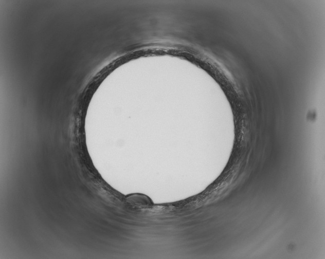 X0000116651352201001111220