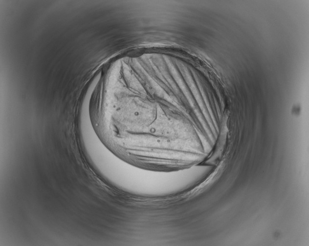 X0000116651353201001111220