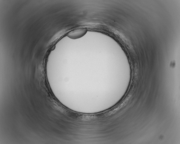 X0000116651354201001111220