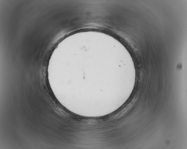 X0000116651355201001111220