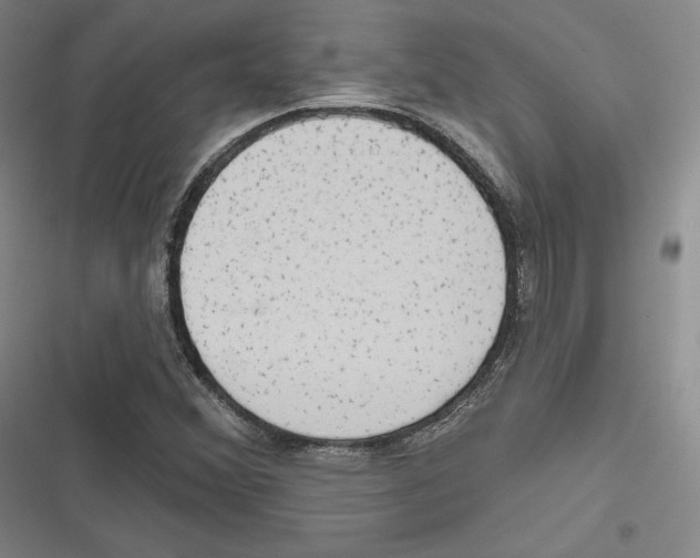 X0000116651356201001111220