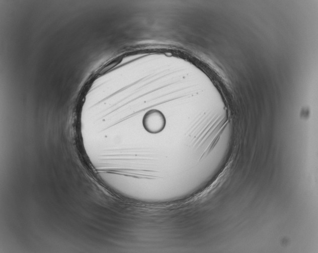 X0000116651357201001111220