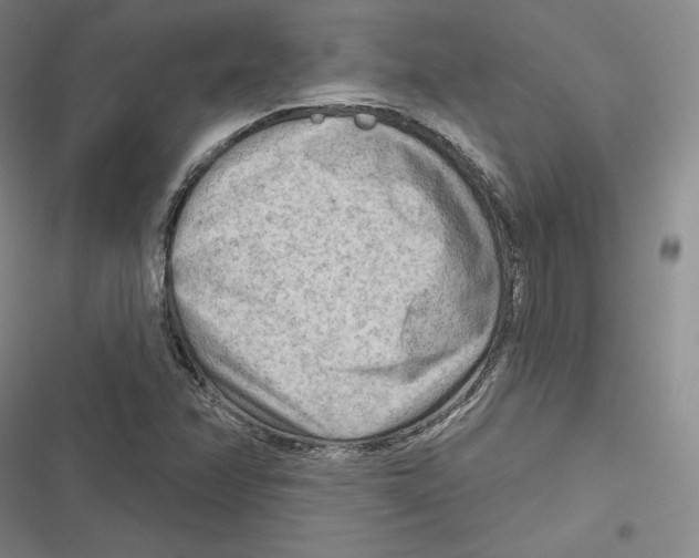 X0000116651358201001111220