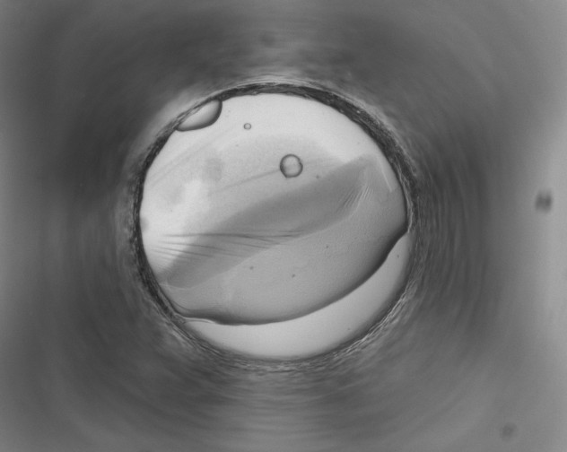 X0000116651359201001111220