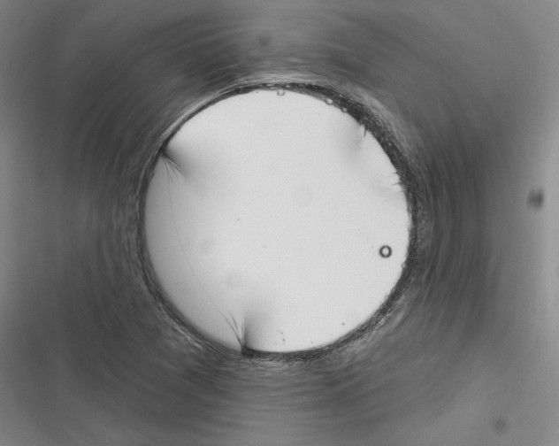 X0000116651361201001111220