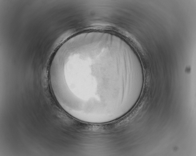 X0000116651362201001111220