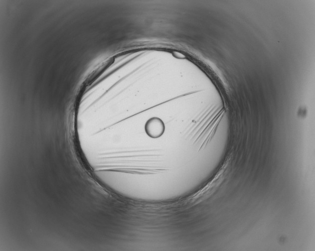 X0000116651365201001111220