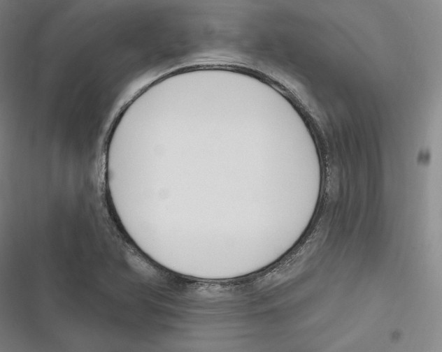 X0000116651366201001111220