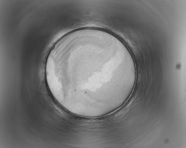 X0000116651367201001111220