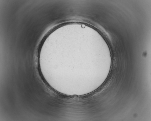 X0000116651368201001111220