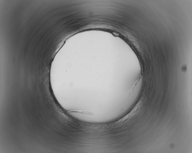 X0000116651369201001111220