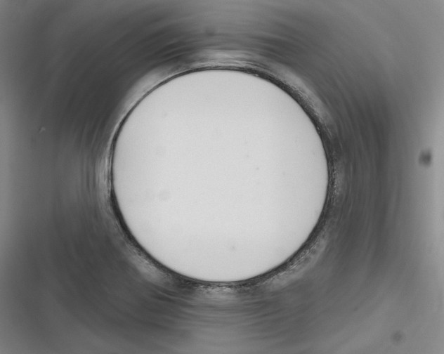 X0000116651370201001111220