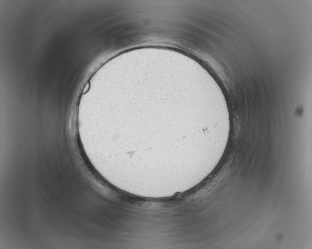 X0000116651371201001111220