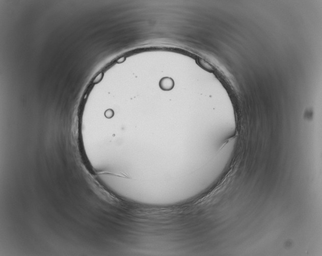 X0000116651372201001111220