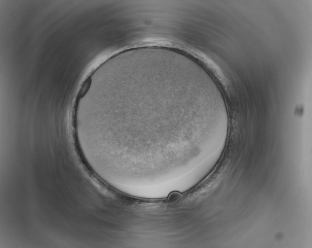 X0000116651373201001111220