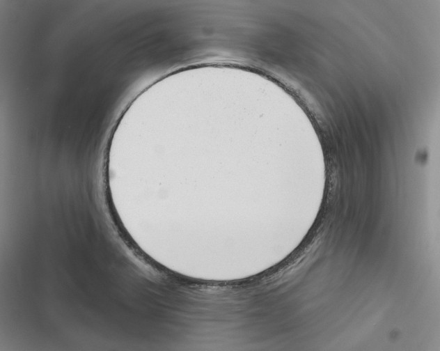 X0000116651375201001111220