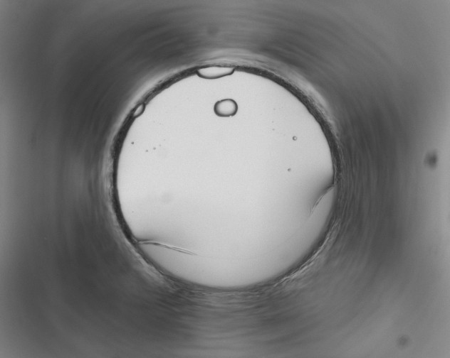 X0000116651376201001111220