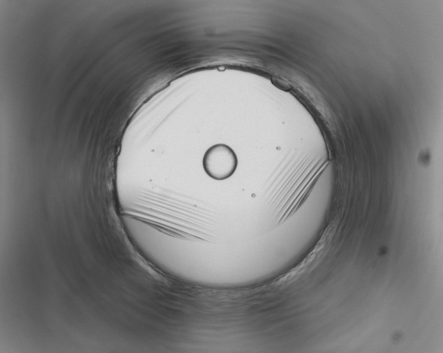 X0000116651377201001111220