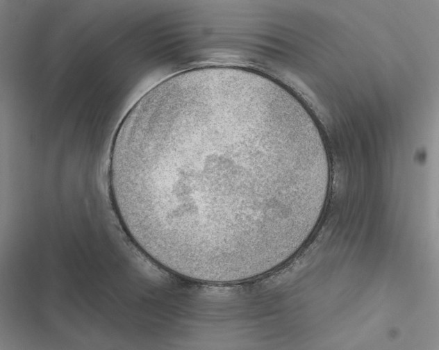 X0000116651378201001111220