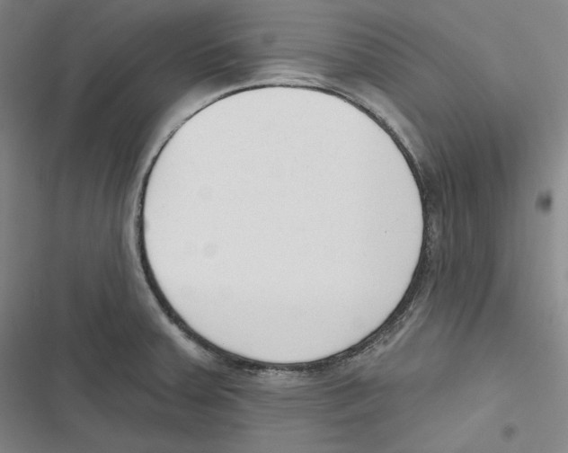 X0000116651379201001111220