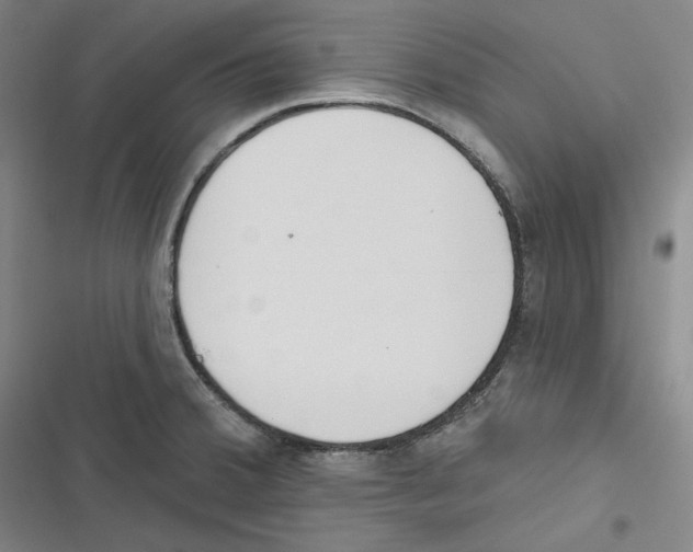 X0000116651380201001111220