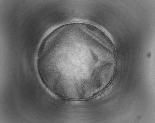 X0000116651381201001111220