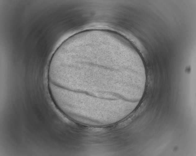 X0000116651382201001111220