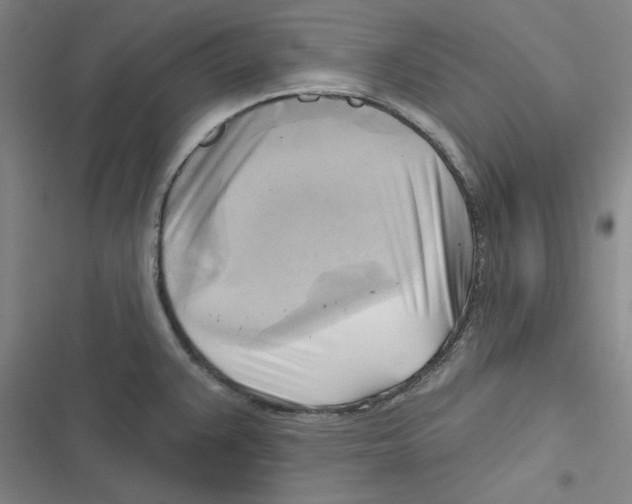 X0000116651383201001111220