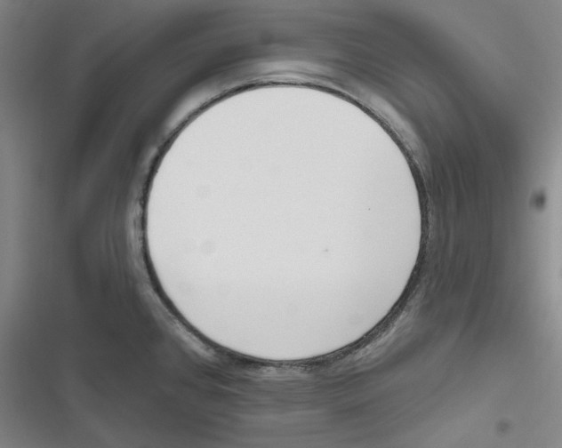 X0000116651384201001111220