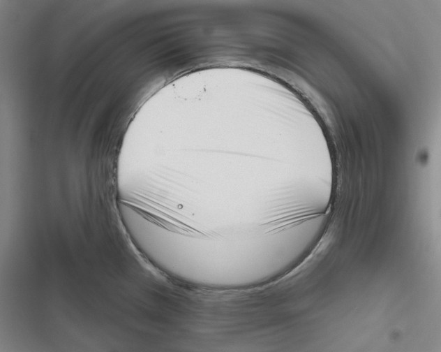 X0000116651385201001111220